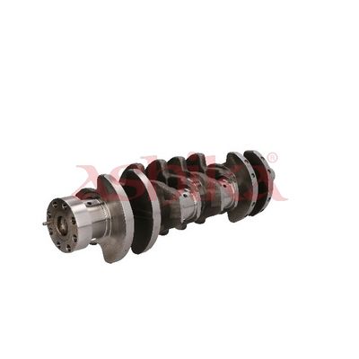 ARBORE COTIT ASHIKA 18KI001 7