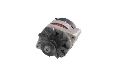 GENERATOR / ALTERNATOR REMANTE 011003000079R 6