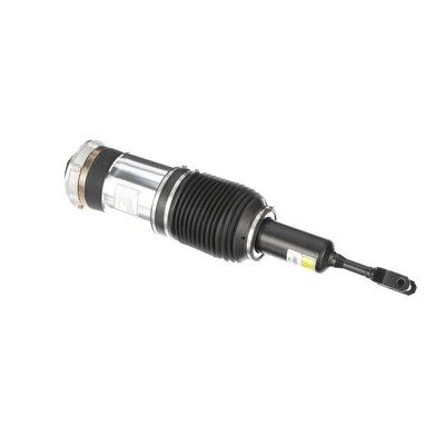 LUFTFEDERBEIN Arnott AS3230 30