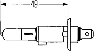HELLA - Žiarovka SCHMITZ CARGOBULL , 8GH 002 089-153