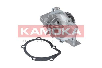 Water Pump, engine cooling T0095