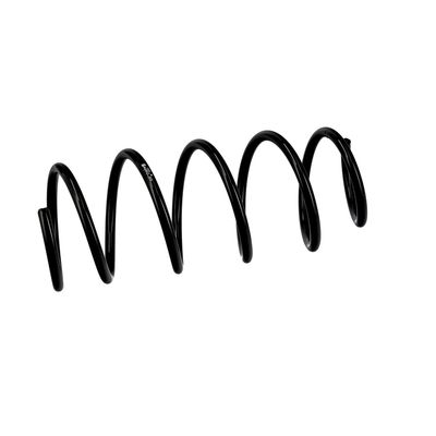 ARC SPIRAL EIBACH R10077 6