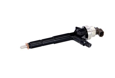 INJECTOR REMANTE 002003000192R 7