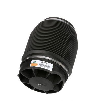 LUFTFEDER FAHRWERK Arnott A2960 59