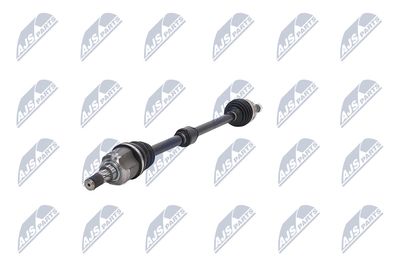 PLANETARA NTY NPWCH062 18