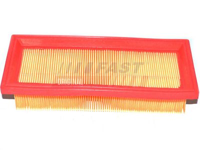 FAST Oro filtras