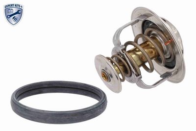 TERMOSTAT LICHID RACIRE