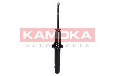 Shock Absorber 2000711