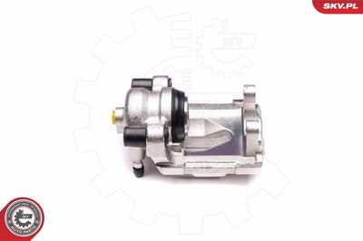 Brake Caliper 23SKV753