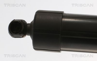 AMORTIZOR PORTBAGAJ TRISCAN 871040301 1