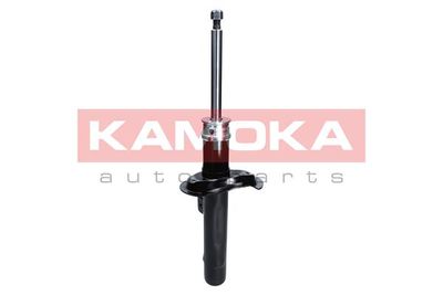 Shock Absorber 2000211