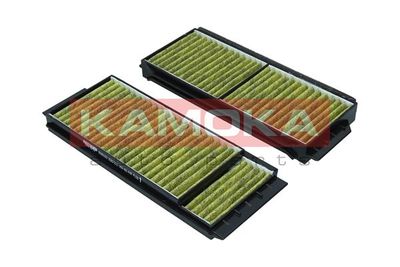 Filter, cabin air 6080150