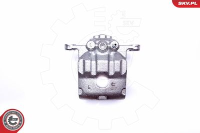 Brake Caliper 42SKV491