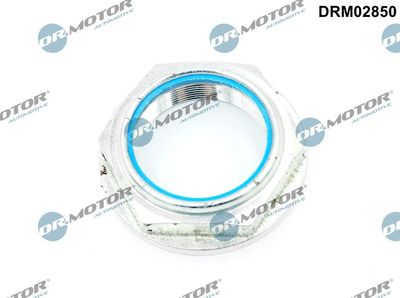 Dr.Motor Automotive Mutter, Achszapfen