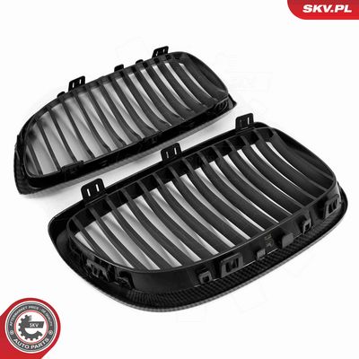 GRILA RADIATOR ESEN SKV 66SKV106 4