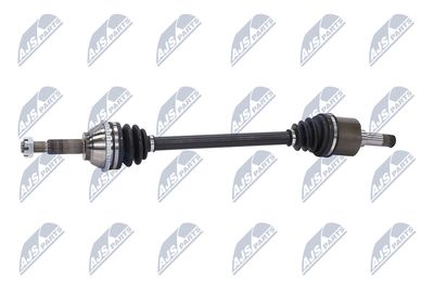 PLANETARA NTY NPWFR033 23