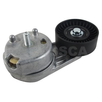 OSSCA 48149 Натяжитель ремня генератора для LAND ROVER RANGE ROVER