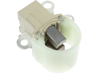 Halter, Kohlebürsten