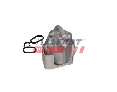 RADIATOR ULEI ULEI MOTOR FAST FT00668 18