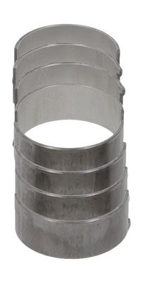 Plejlstangsleje GLYCO 01-4173/4 STD