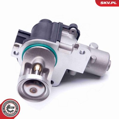 SUPAPA EGR ESEN SKV 14SKV172 1