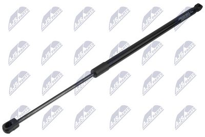 Dujinė spyruoklė, bagažinė