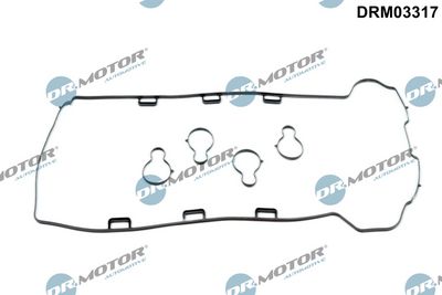 SET GARNITURI CAPAC SUPAPE Dr.Motor Automotive DRM03317