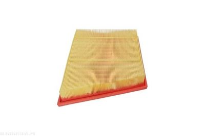 FILTRU AER AUTOMEGA 250050110 2