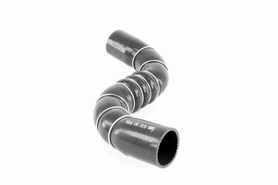 FURTUN EAR SUPRAALIMENTARE ACKOJA A389602 7