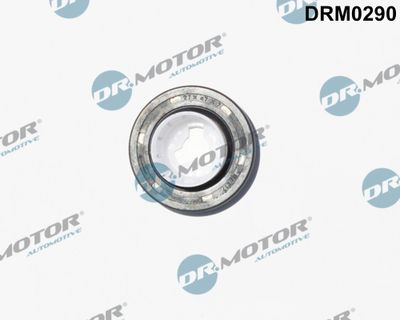 Уплотняющее кольцо, распределительный вал Dr.Motor Automotive DRM0290 для FORD FOCUS