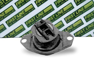 окачване, двигател FIRST LINE FEM3039