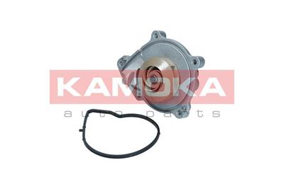 Water Pump, engine cooling T0050