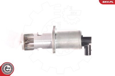 EGR Valve 14SKV010