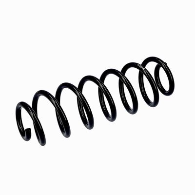 ARC SPIRAL EIBACH R10793 17