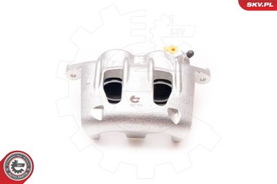 Brake Caliper 23SKV901