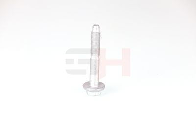 SURUB CAPAT DE AX GH GH392528 15