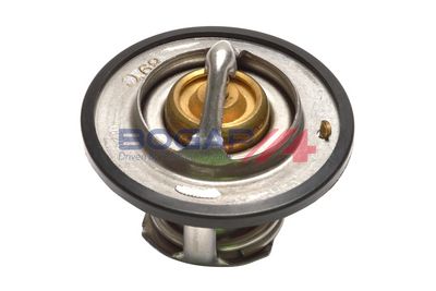 TERMOSTAT LICHID RACIRE