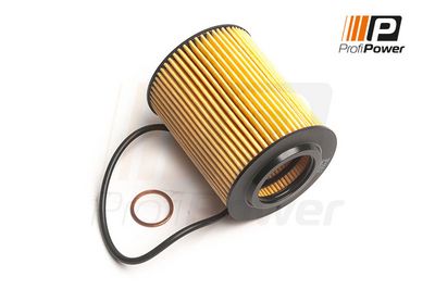alyvos filtras 1F0162 ProfiPower