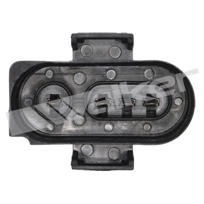 LAMBDASONDE WALKER PRODUCTS 25024393 2