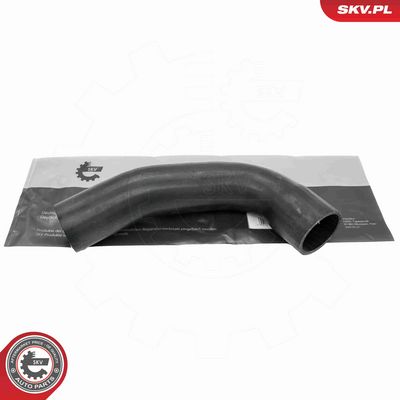 FURTUN EAR SUPRAALIMENTARE