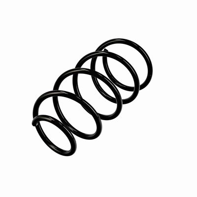 ARC SPIRAL EIBACH R10404 3