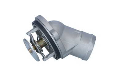 TERMOSTAT LICHID RACIRE NRF 725245 25