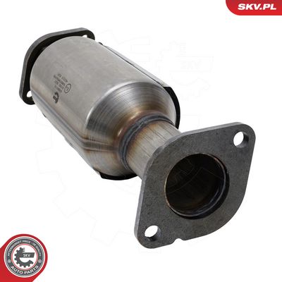 Katalyzátor ESEN SKV 62SKV170