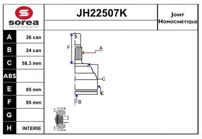 SNRA Homokineet reparatie set, aandrijfas (JH22507K)