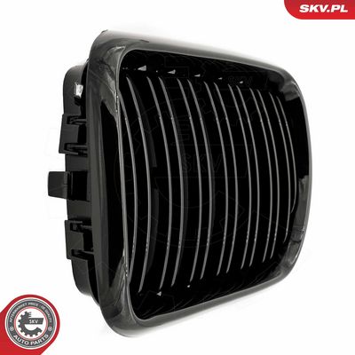 GRILA RADIATOR ESEN SKV 66SKV054 4
