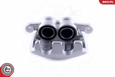 Brake Caliper 55SKV412