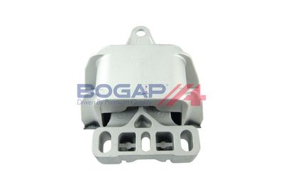 BOGAP Variklio montavimas