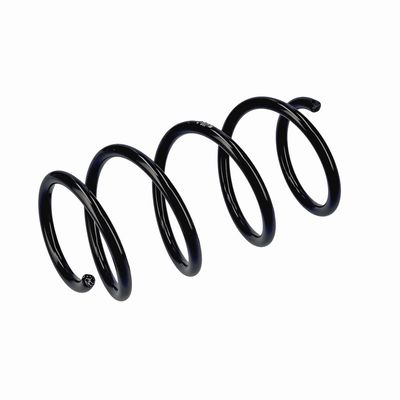 ARC SPIRAL EIBACH R20284 17