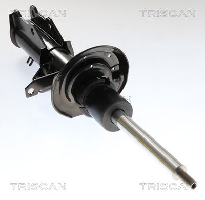 AMORTIZOR TRISCAN 870582109 2