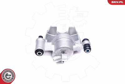 Brake Caliper 45SKV634